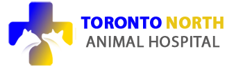 Toronto North Animal Hospital